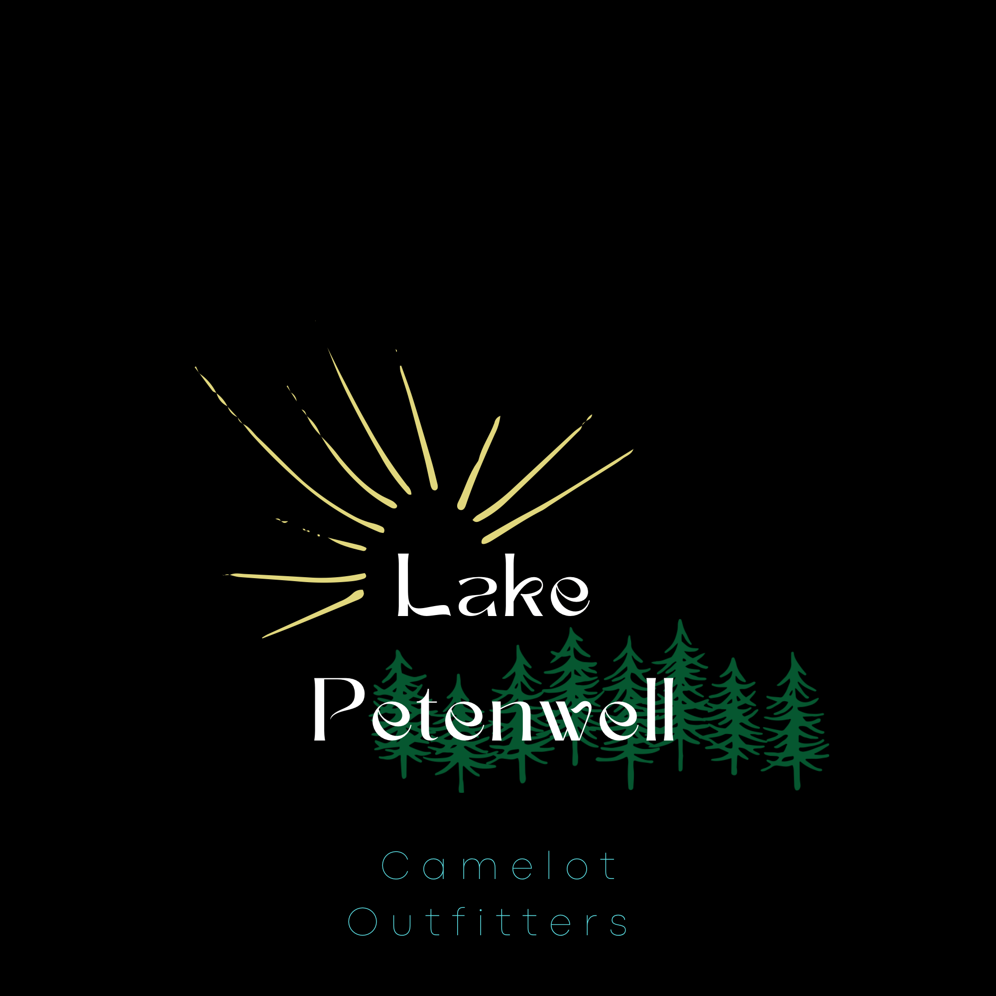 Lake Petenwell Hoodie